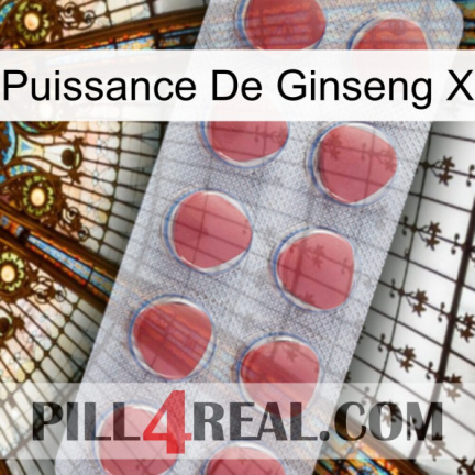 Ginseng Power X 18
